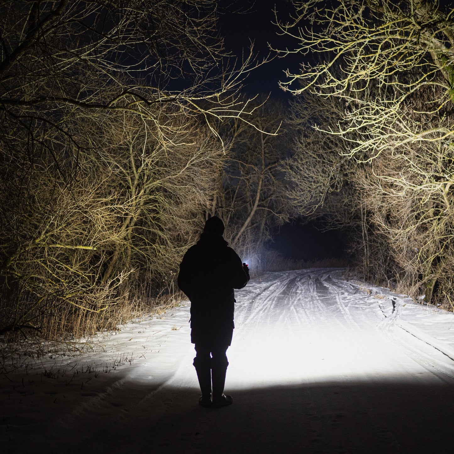 Wizard C2 Pro - Veelzijdige Hoofdlamp 2500 Lumen