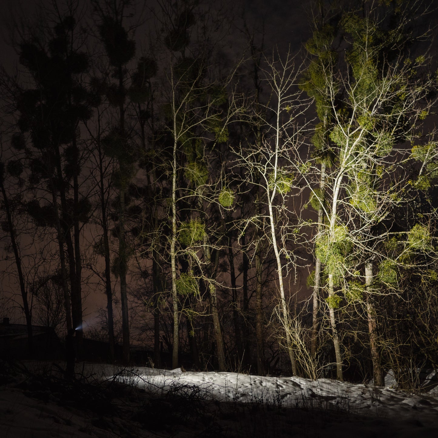 Wizard C2 Pro - Veelzijdige Hoofdlamp 2500 Lumen