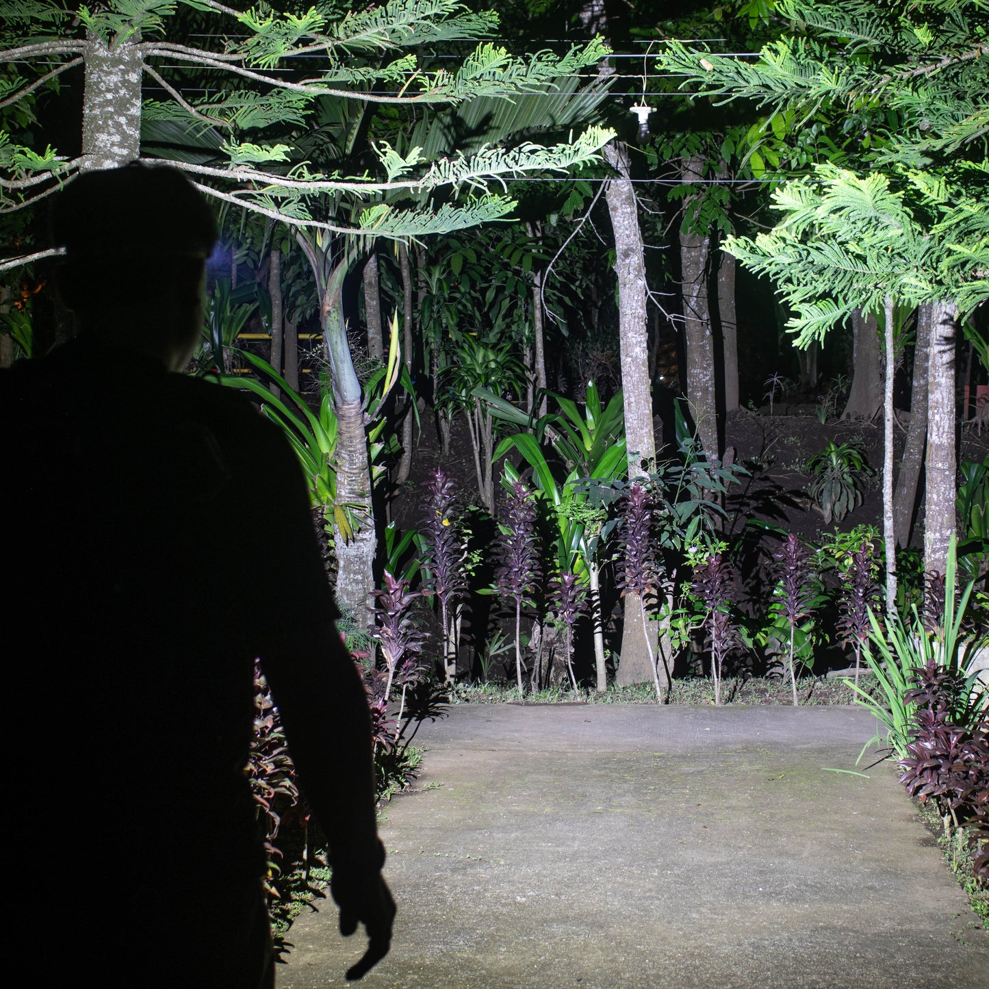 Wizard C2 Pro - Veelzijdige Hoofdlamp 2500 Lumen