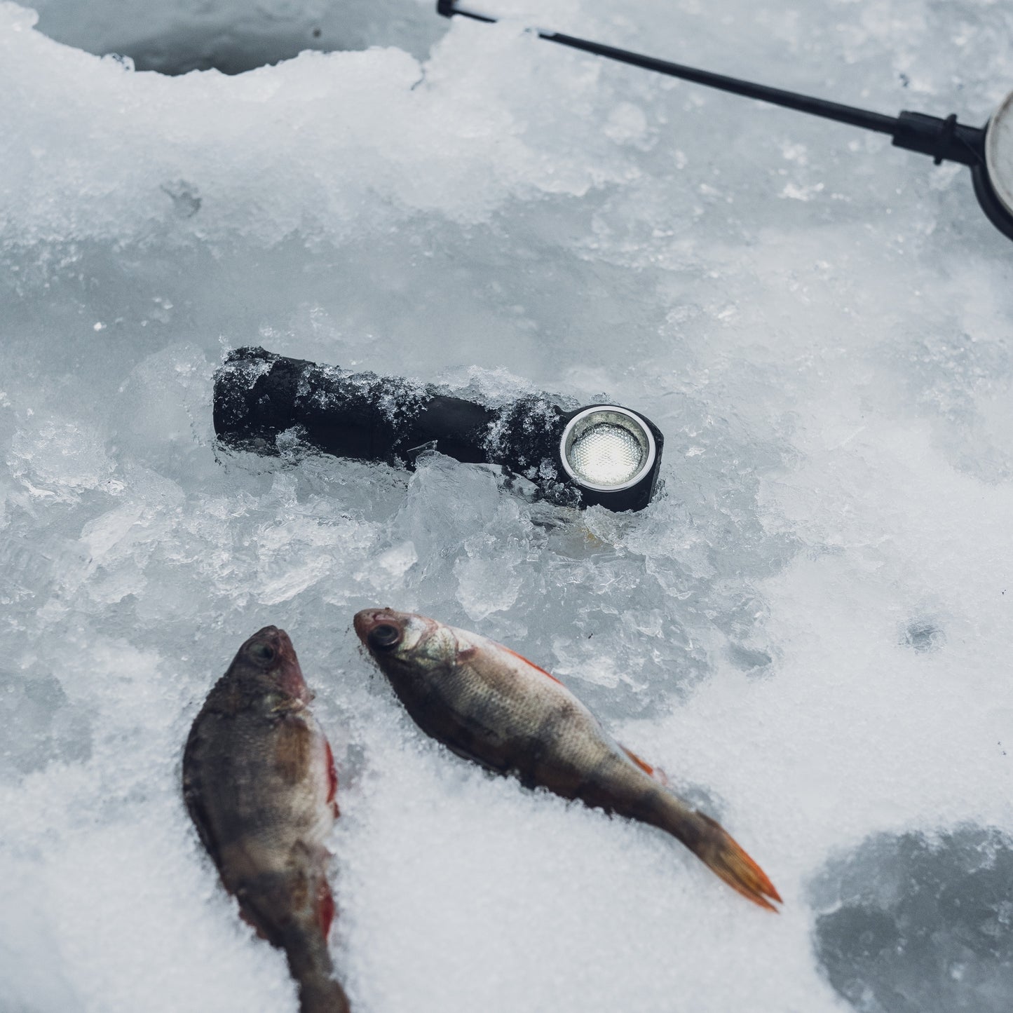 Wizard C2 Pro - Veelzijdige Hoofdlamp 2500 Lumen